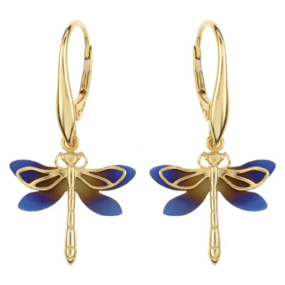 Boucles d'oreilles (dagen)