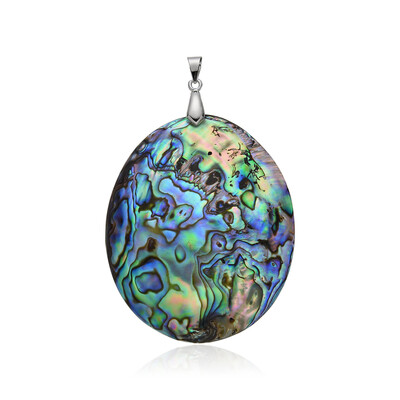 Pendentif en argent et Coquillage d'Abalone