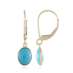 Boucles d'oreilles en or et Turquoise Sleeping Beauty