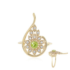 Bague en or et Grenat Démantoïde (AMAYANI)