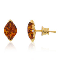 Boucles d'oreilles en argent et Ambre baltique