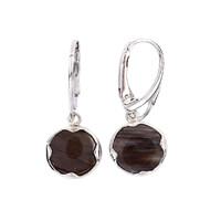 Boucles d'oreilles en argent et Bois fossilisé