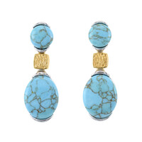 Boucles d'oreilles en argent et Turquoise