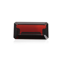  Grenat du Mozambique 22,515 ct (gemme et boîte de collection)