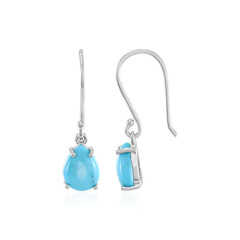 Boucles d'oreilles en argent et Turquoise arizona