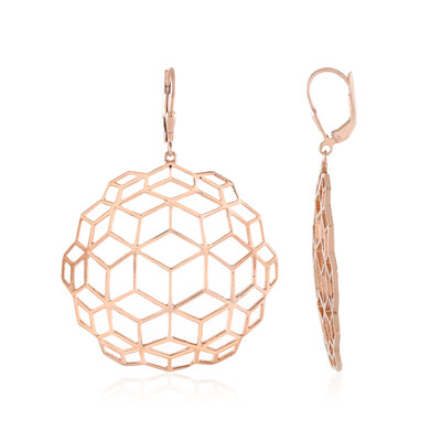 Boucles d'oreilles en argent (SAELOCANA)