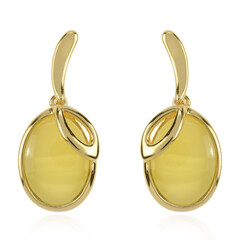 Boucles d'oreilles en argent et Ambre baltique
