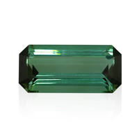  Tourmaline verte (gemme et boîte de collection)