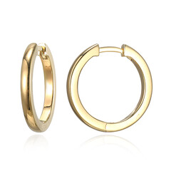 Boucles d'oreilles en argent