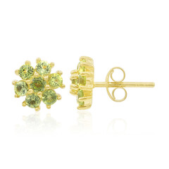 Boucles d'oreilles en argent et Péridot
