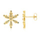 Boucles d'oreilles en argent et Diamant fantaisie