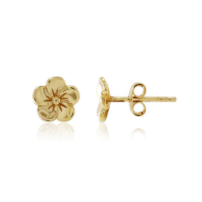 Boucles d'oreilles en argent