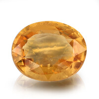  Grenat grossulaire 7,55 ct (gemme et boîte de collection)