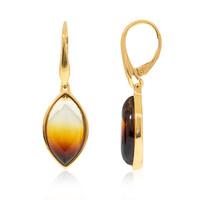 Boucles d'oreilles en argent et Ambre baltique