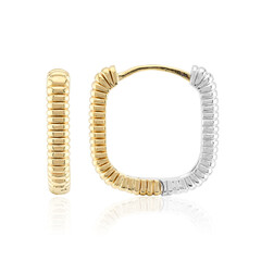 Boucles d'oreilles en argent