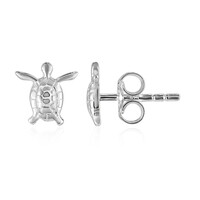 Boucles d'oreilles en argent