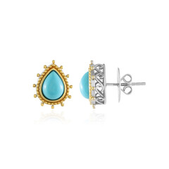 Boucles d'oreilles en argent et Turquoise Sleeping Beauty (Dallas Prince Designs)