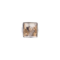 Bague en argent et Bois de palmier fossilisé