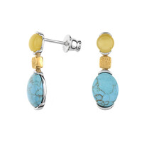 Boucles d'oreilles en argent et Turquoise