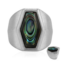 Bague en argent et Coquillage d'Abalone