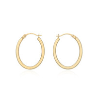 Boucles d'oreilles en or