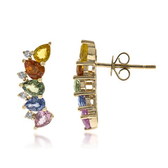 Boucles d'oreilles en or et Saphir