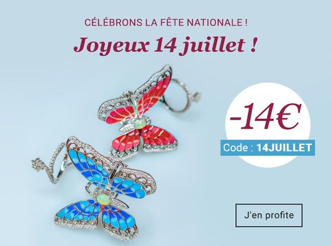 1407_FR