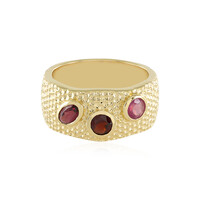 Bague en argent et Grenat Rhodolite