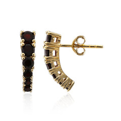 Boucles d'oreilles en argent et Grenat