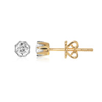 Boucles d'oreilles en or et Diamant IF (D)