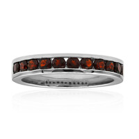 Bague en argent et Grenat
