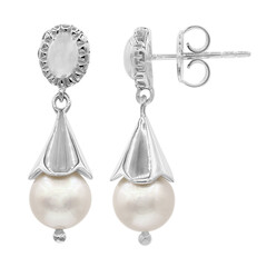 Boucles d'oreilles en argent et Perle d'Akoya