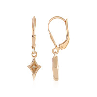 Boucles d'oreilles en argent et Diamant PK (J)