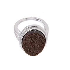 Bague en argent et Bois fossilisé de Zwenkau