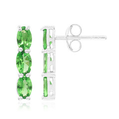 Boucles d'oreilles en argent et Grenat Tsavorite
